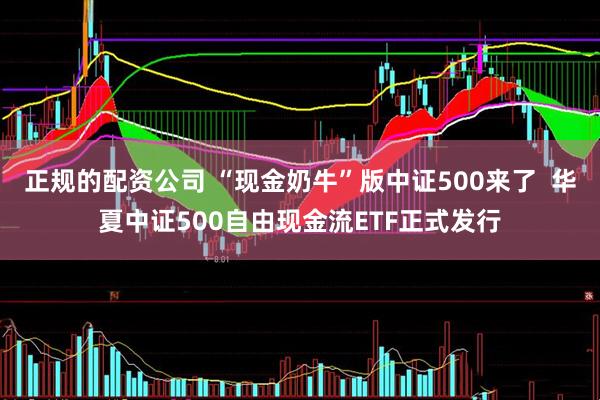 正规的配资公司 “现金奶牛”版中证500来了  华夏中证500自由现金流ETF正式发行